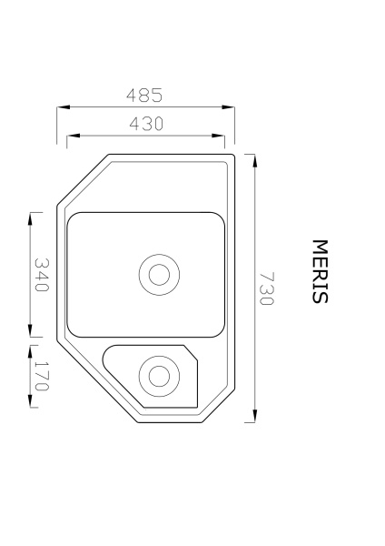 MERIS-1.jpg