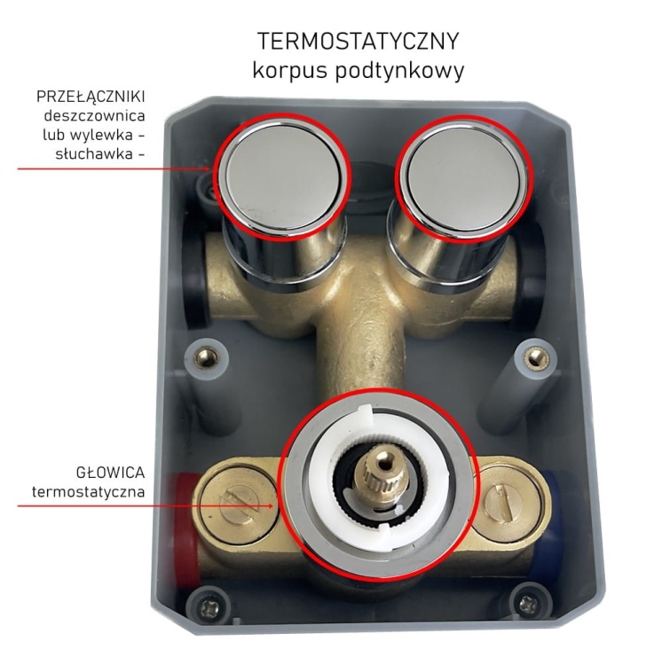 EXEO 2 termostatyczny korpus podtynkowy
