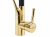 ika-zlota-stellman-gold.jpg