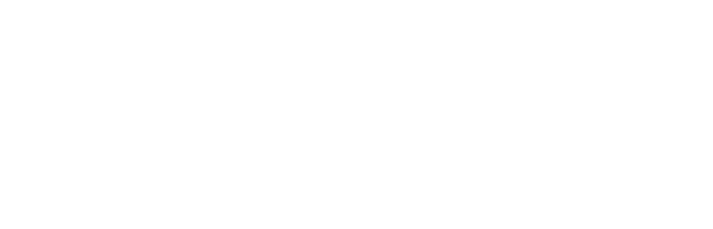 Logo STERN